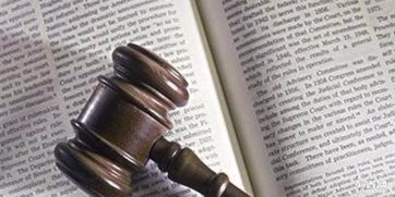 法律咨詢(xún) 全面解析常見(jiàn)法律糾紛類(lèi)型與應(yīng)對(duì)策略