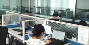 泰安市泰山區(qū)財(cái)順順食品機(jī)械有限責(zé)任公司招聘信息 齊魯人才網(wǎng)